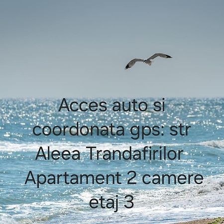 エフォリエ・ノルドApartament Mriアパートメント エクステリア 写真